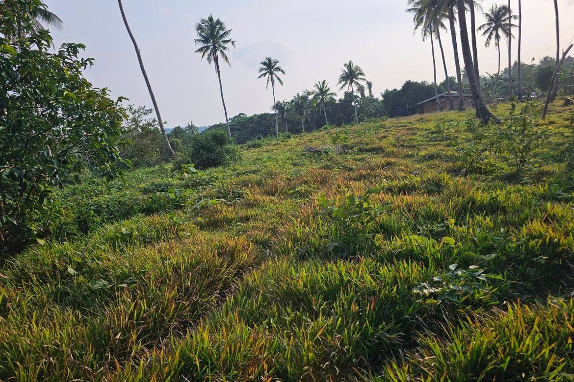Land for Sale in Calatrava, Carmen, Bohol – photo 4