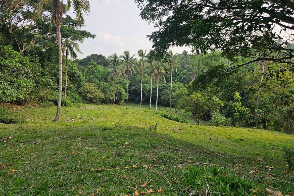 Land for Sale in Calatrava, Carmen, Bohol – photo 7