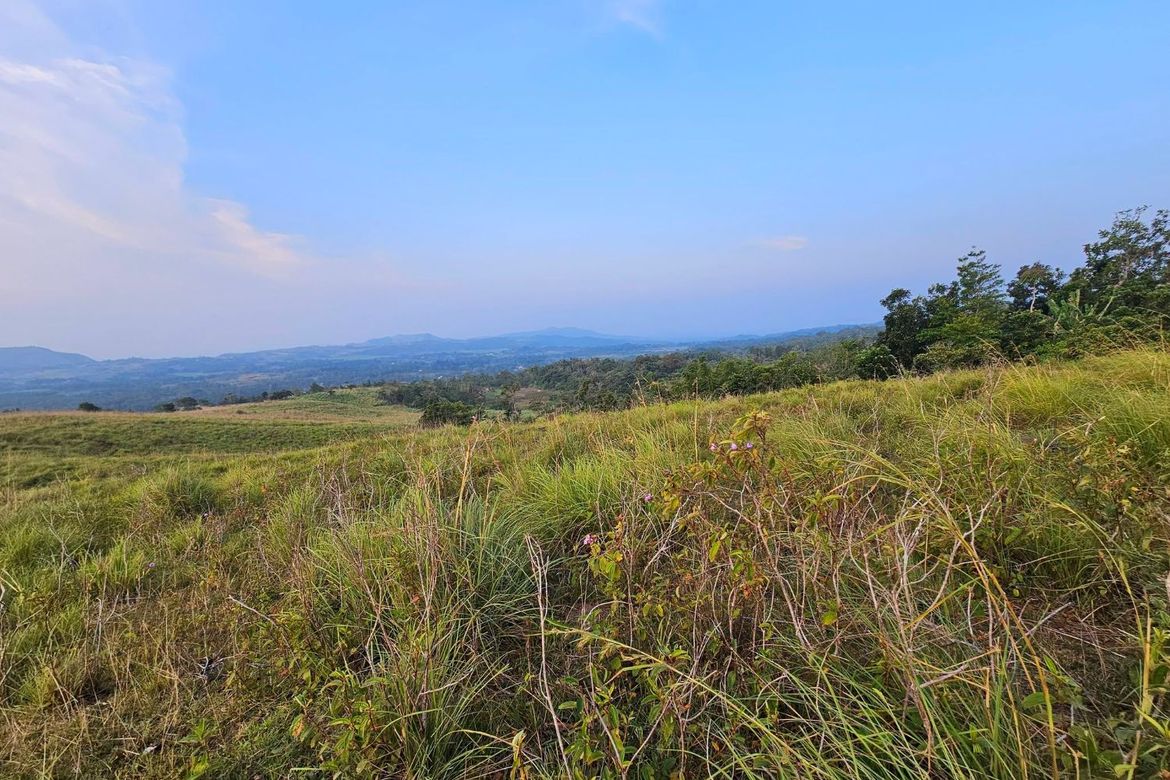 Land for Sale in Calatrava, Carmen, Bohol – photo 2