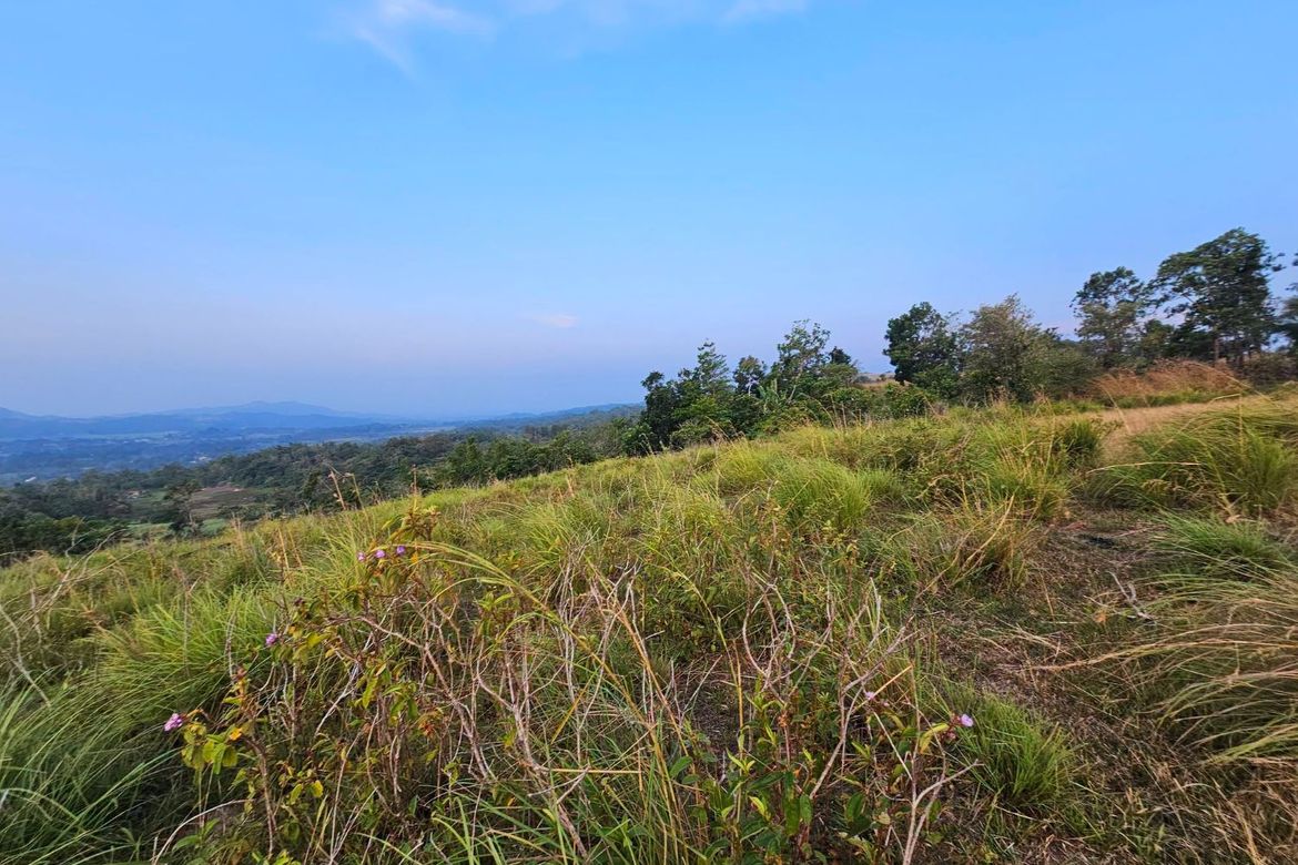 Land for Sale in Calatrava, Carmen, Bohol – photo 3