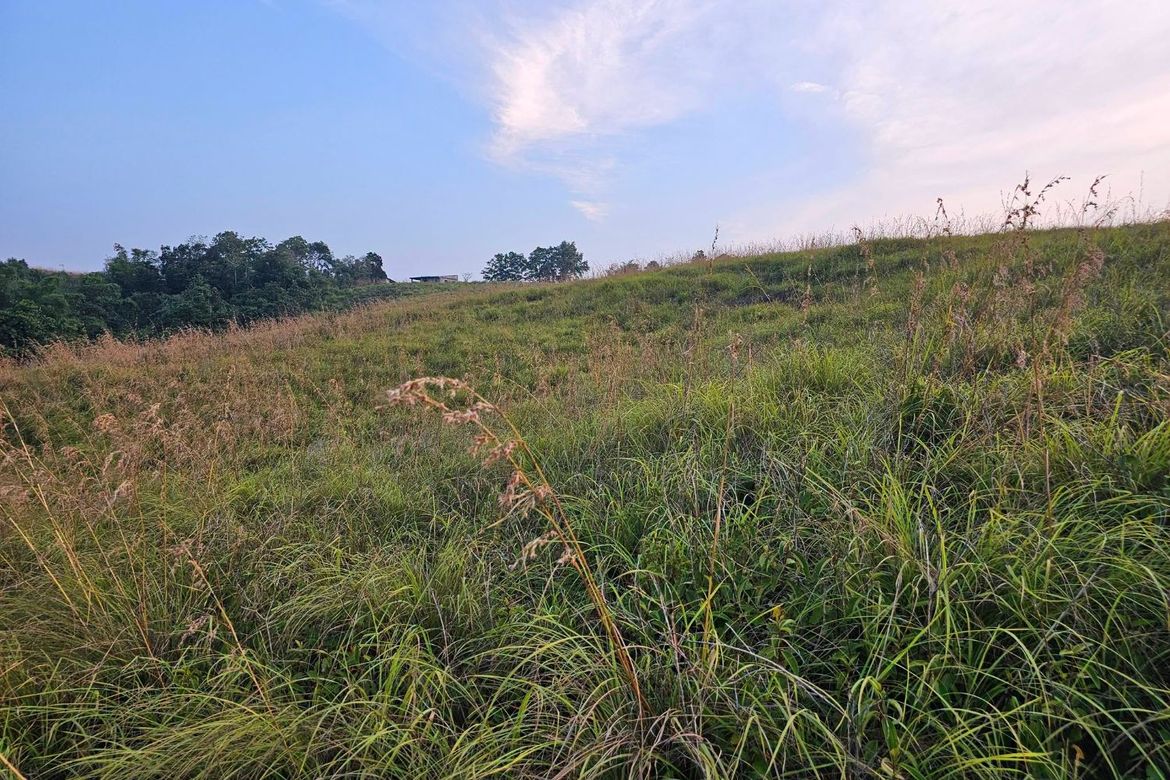 Land for Sale in Calatrava, Carmen, Bohol – photo 6