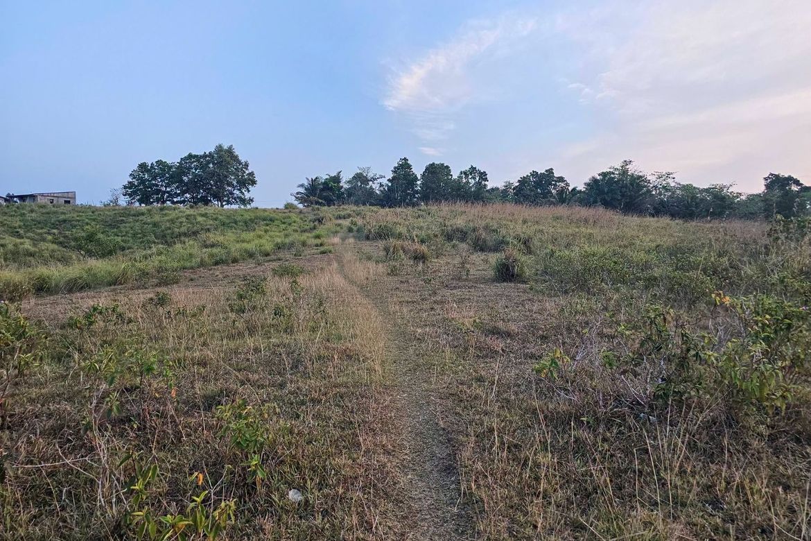Land for Sale in Calatrava, Carmen, Bohol – photo 7