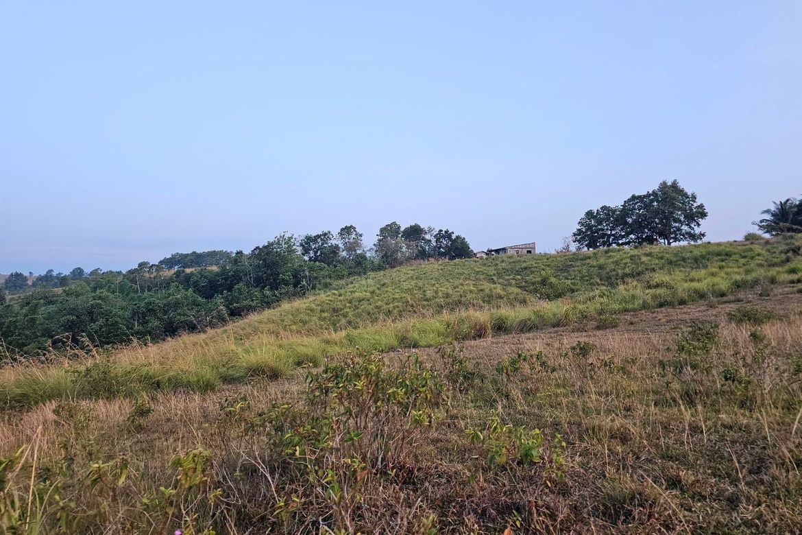 Land for Sale in Calatrava, Carmen, Bohol – photo 8
