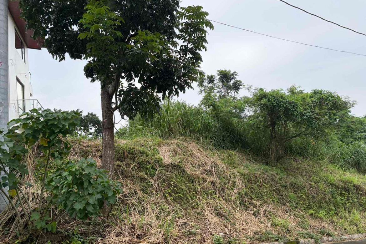 Land for Sale in Calawis, Antipolo, Rizal