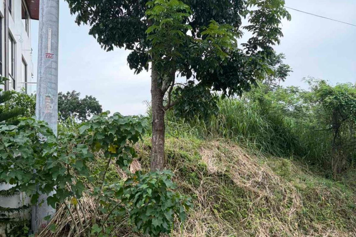 Land for Sale in Calawis, Antipolo, Rizal – photo 2