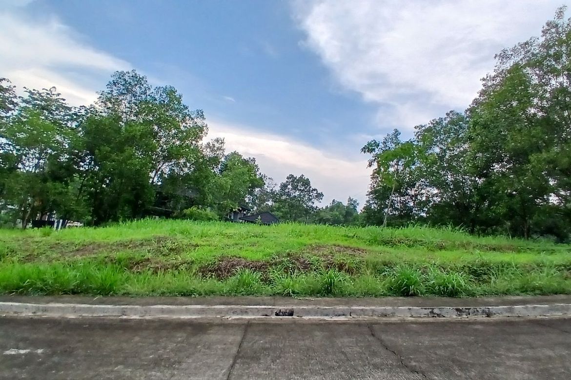 Land for Sale in Calawis, Antipolo, Rizal – photo 2