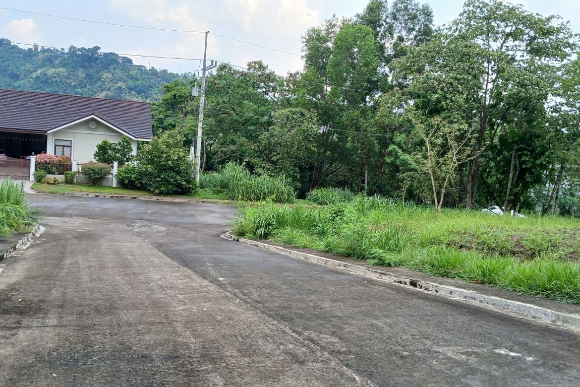 Land for Sale in Calawis, Antipolo, Rizal – photo 3