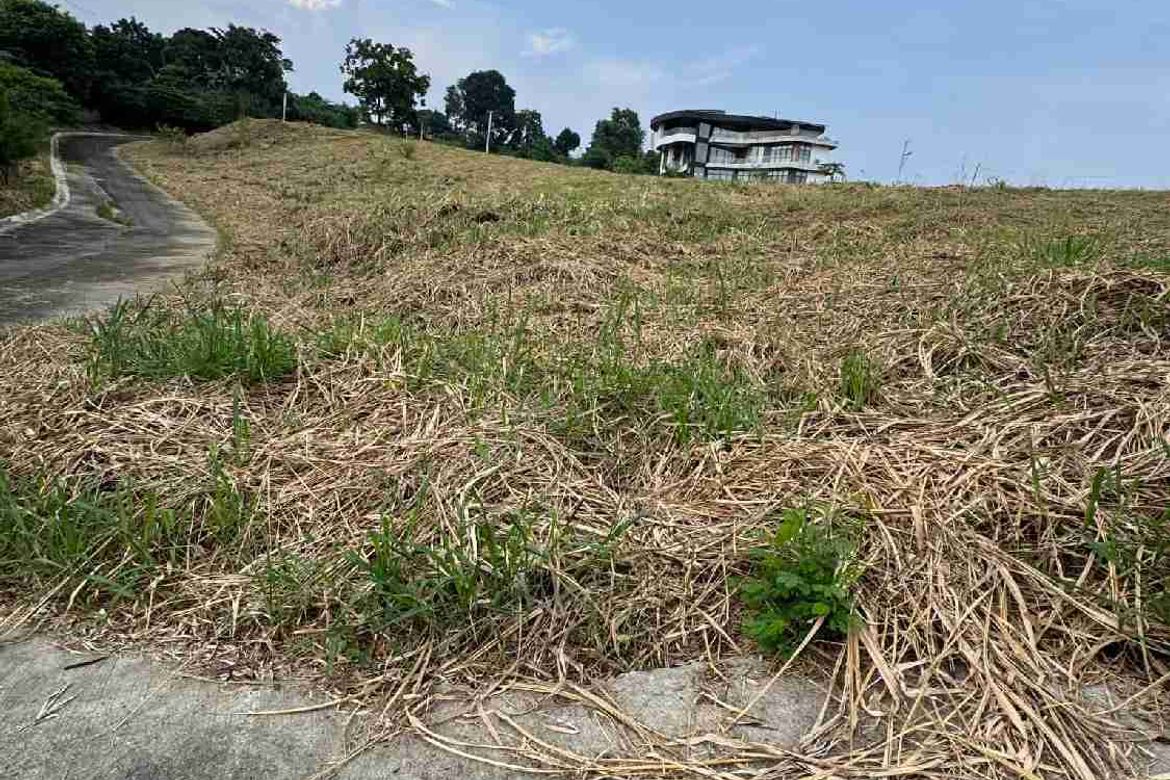 Land for Sale in Calawis, Antipolo, Rizal – photo 6