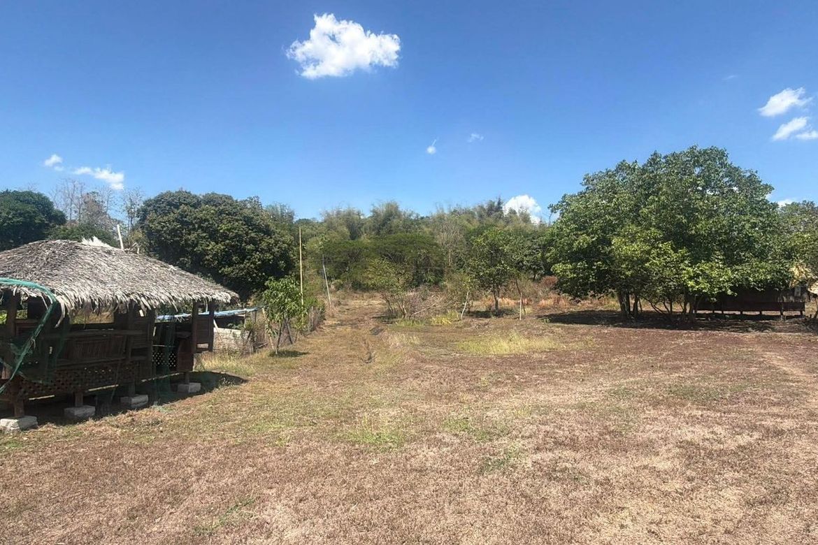 Land for Sale in Calayaan, Gerona, Tarlac – photo 5