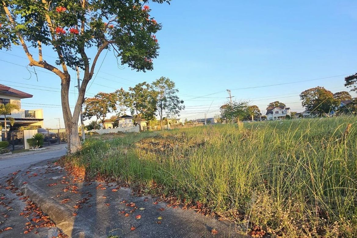 Land for Sale in Calibutbut, Bacolor, Pampanga – photo 3