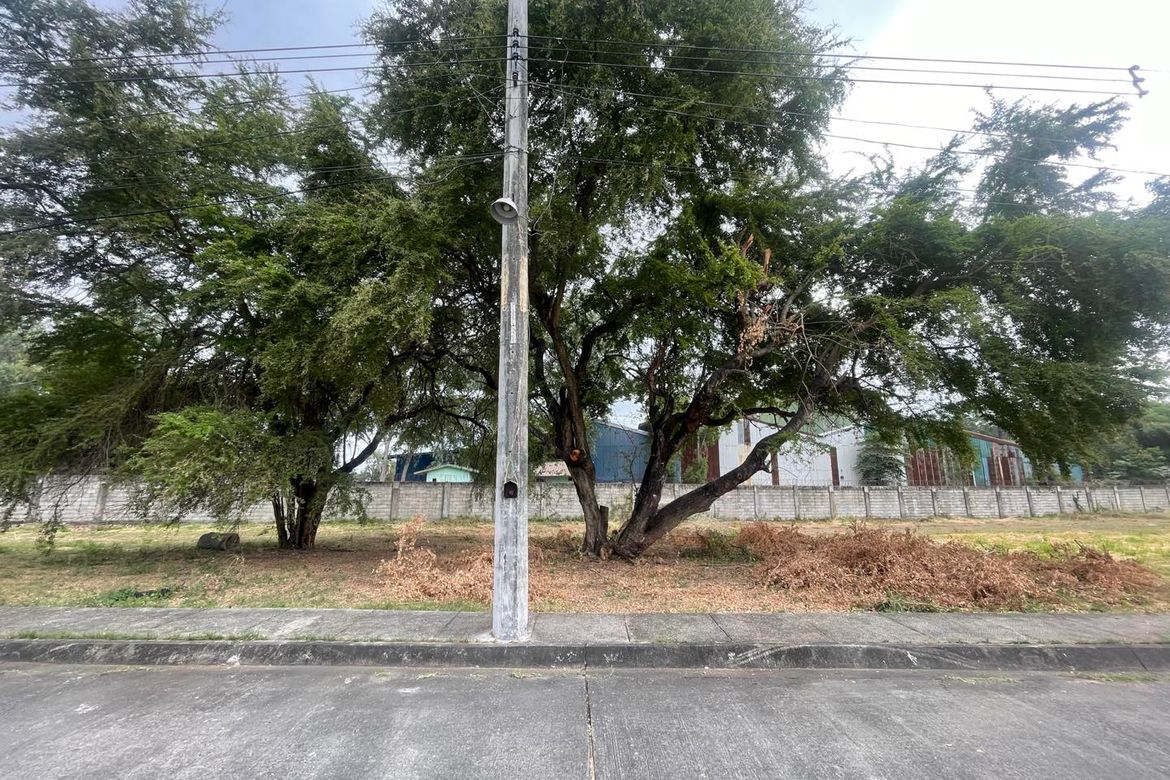 Land for Sale in Calibutbut, Bacolor, Pampanga – photo 2