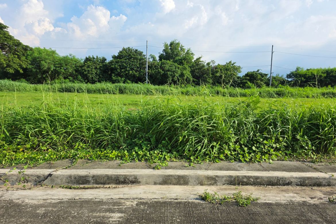 Land for Sale in Calibuyo, Tanza, Cavite