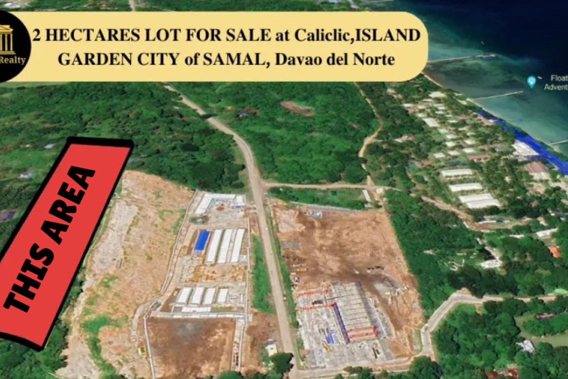 Land for Sale in Caliclic, Samal, Davao del Norte – photo 2