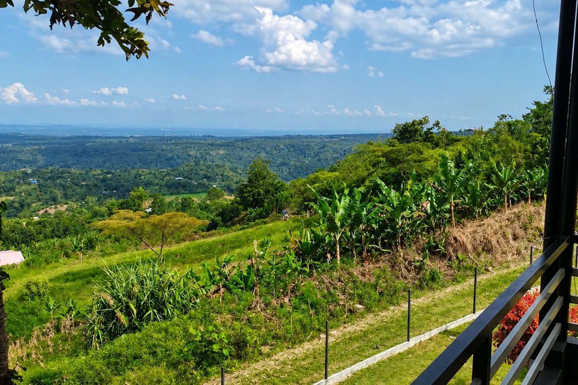 Land for Sale in Calinan, Davao City, Davao del Sur – photo 6