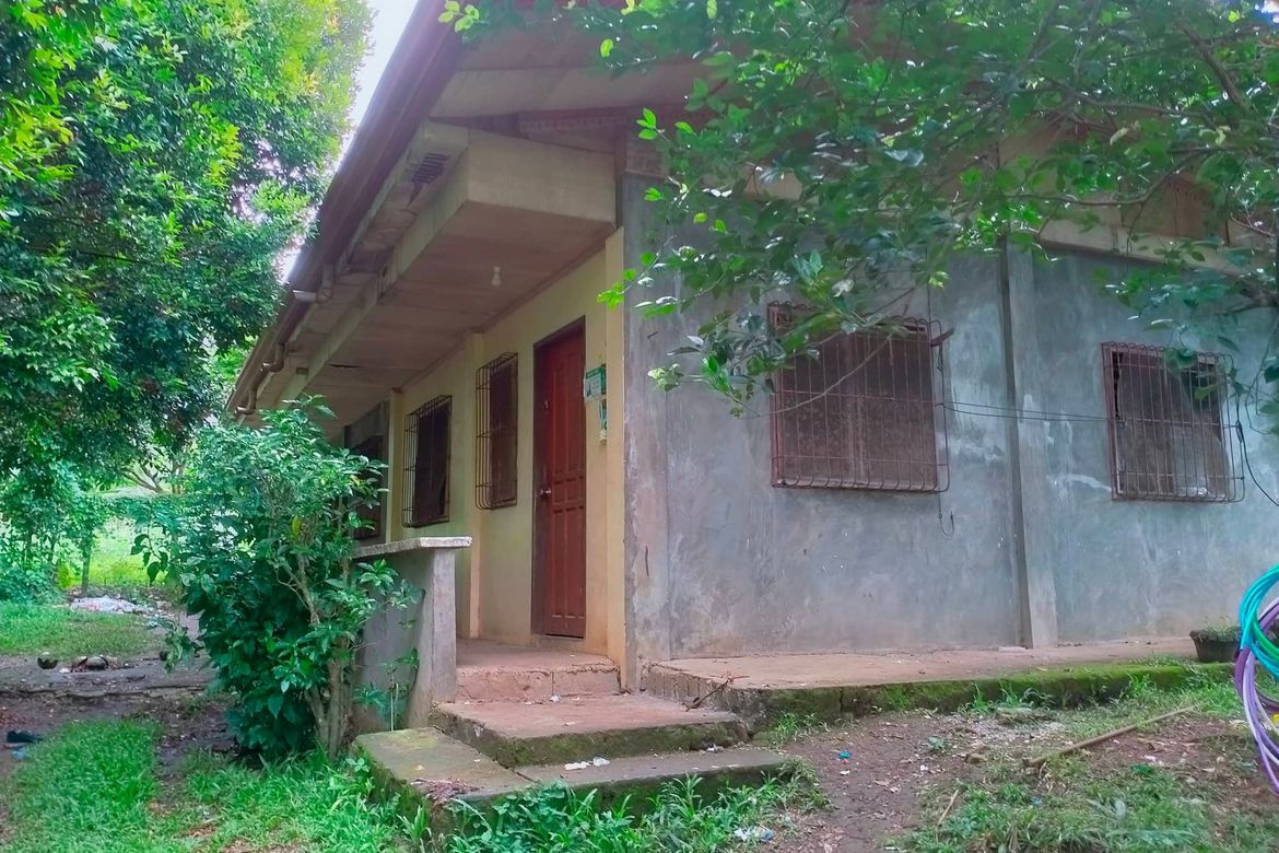 Land for Sale in Calinan, Davao City, Davao del Sur – photo 3