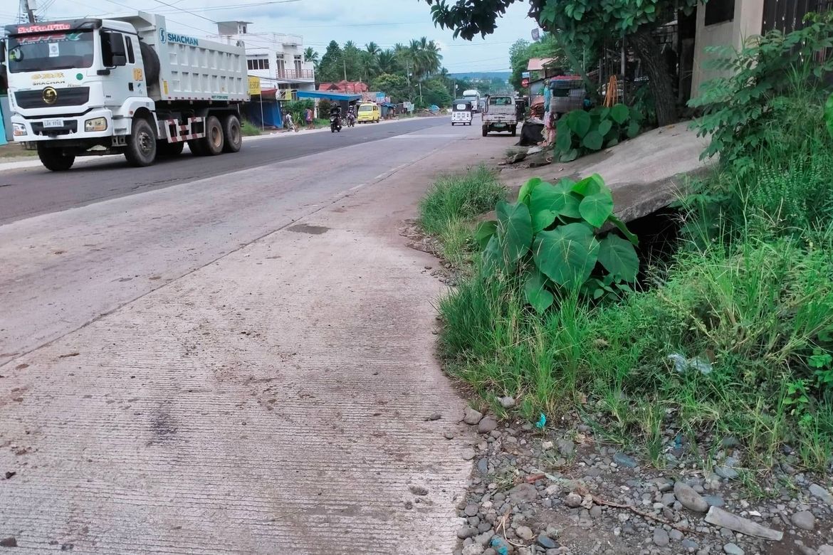 Land for Sale in Calinan, Davao City, Davao del Sur – photo 6