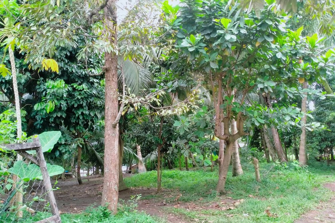 Land for Sale in Calinan, Davao City, Davao del Sur – photo 8