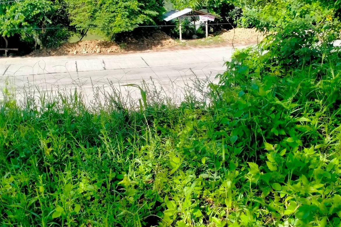 Land for Sale in Calinan, Davao City, Davao del Sur – photo 2