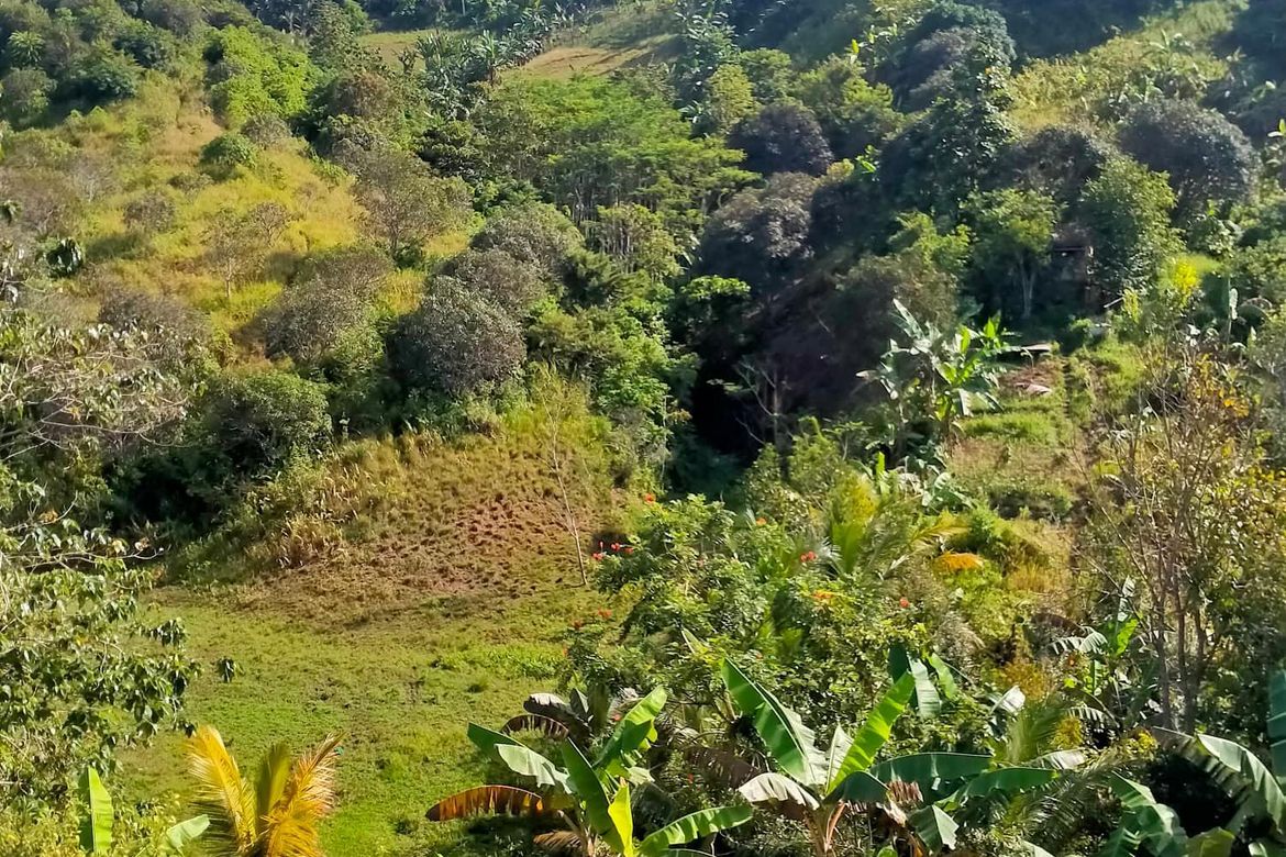 Land for Sale in Calinan, Davao City, Davao del Sur – photo 8