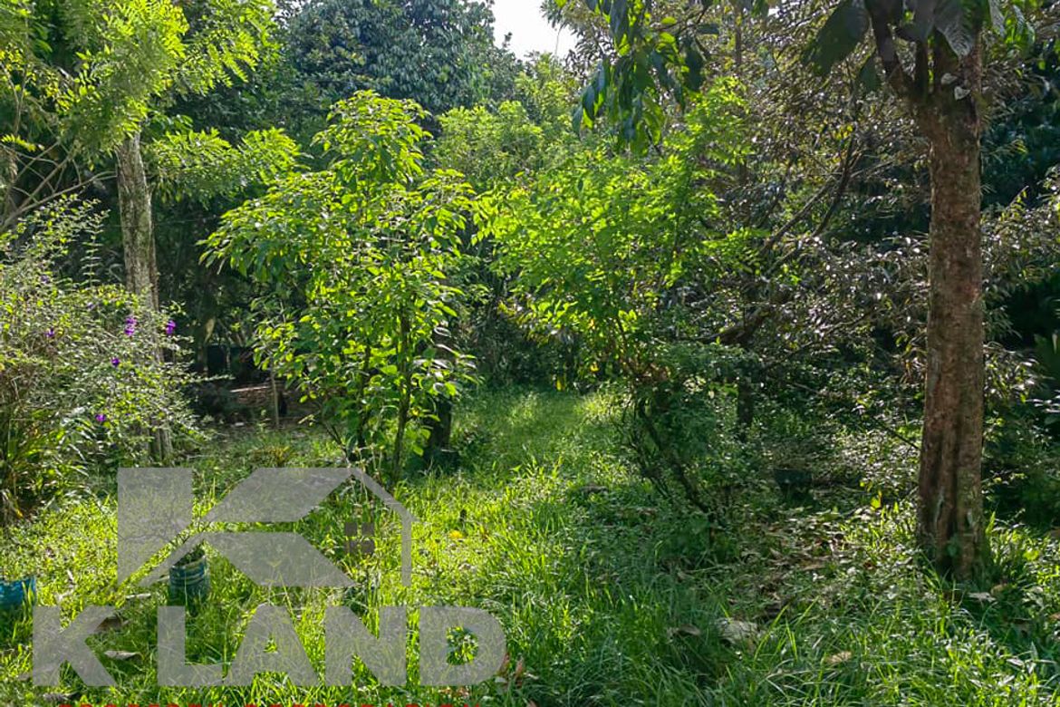 Land for Sale in Calinan, Davao City, Davao del Sur – photo 3