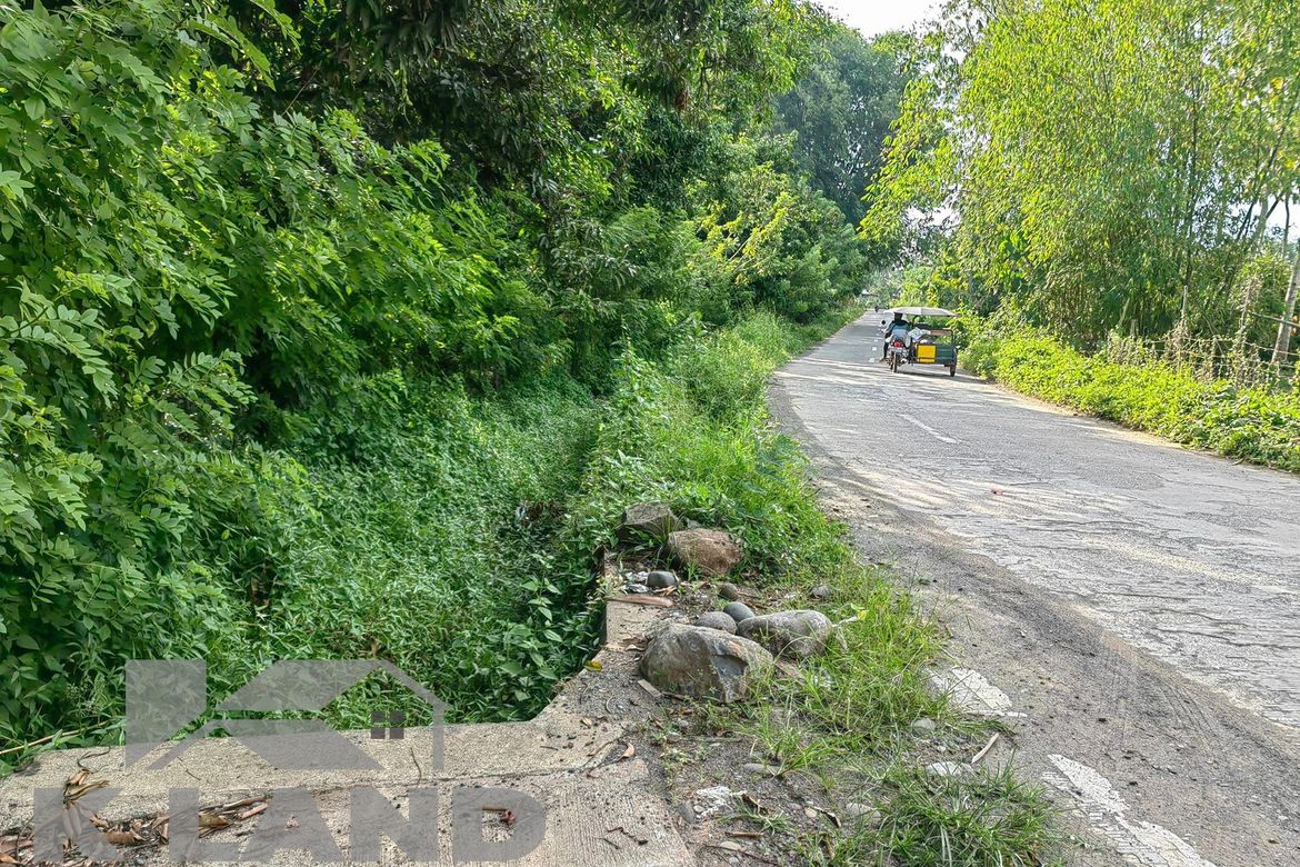 Land for Sale in Calinan, Davao City, Davao del Sur – photo 5