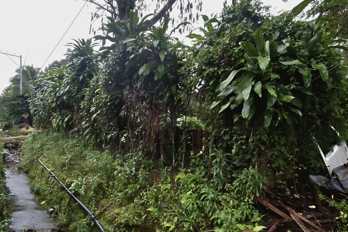 Land for Sale in Calinan, Davao City, Davao del Sur – photo 5