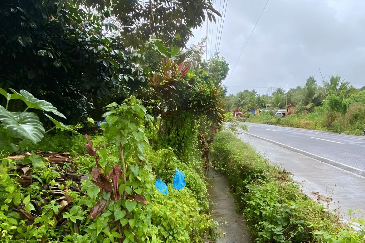 Land for Sale in Calinan, Davao City, Davao del Sur – photo 6