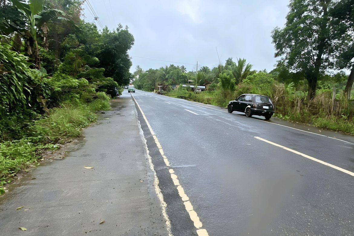 Land for Sale in Calinan, Davao City, Davao del Sur – photo 7