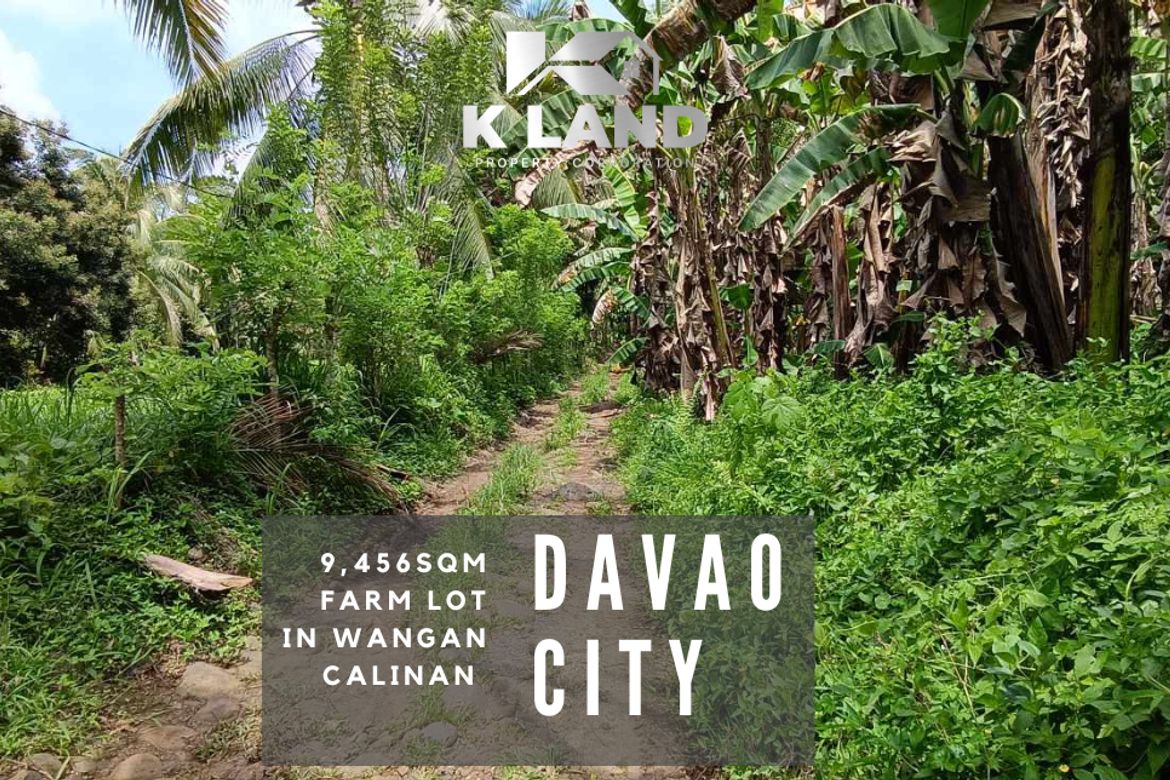 Land for Sale in Calinan, Davao City, Davao del Sur