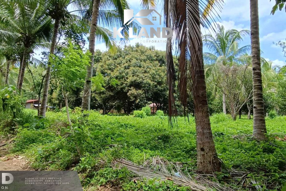 Land for Sale in Calinan, Davao City, Davao del Sur – photo 3