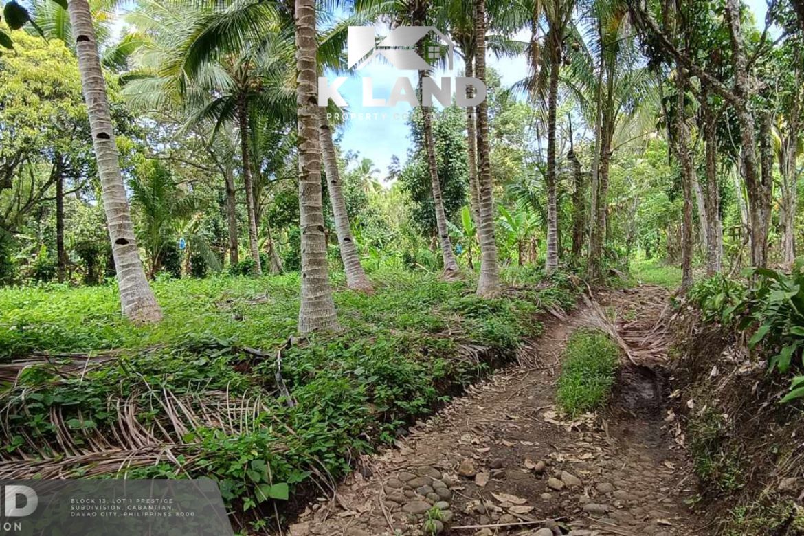 Land for Sale in Calinan, Davao City, Davao del Sur – photo 4