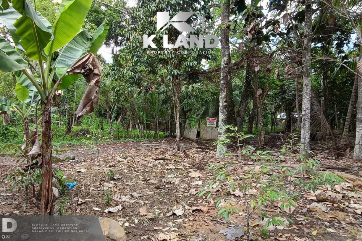 Land for Sale in Calinan, Davao City, Davao del Sur – photo 6