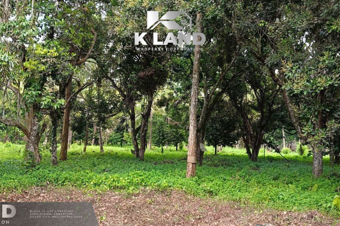 Land for Sale in Calinan, Davao City, Davao del Sur – photo 7