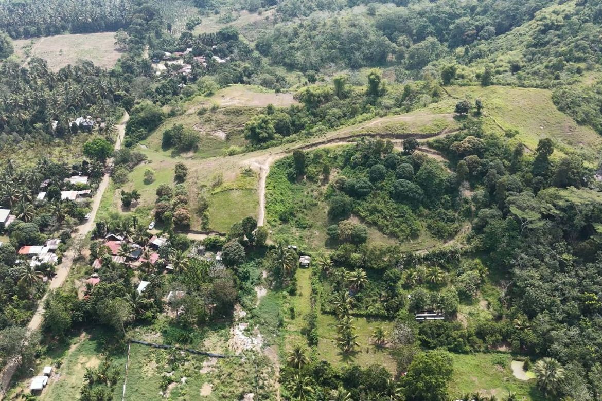 Land for Sale in Calinan, Davao City, Davao del Sur – photo 2