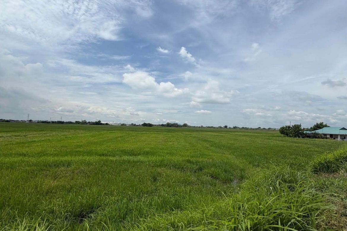 Land for Sale in Calingcuan, Tarlac, Tarlac