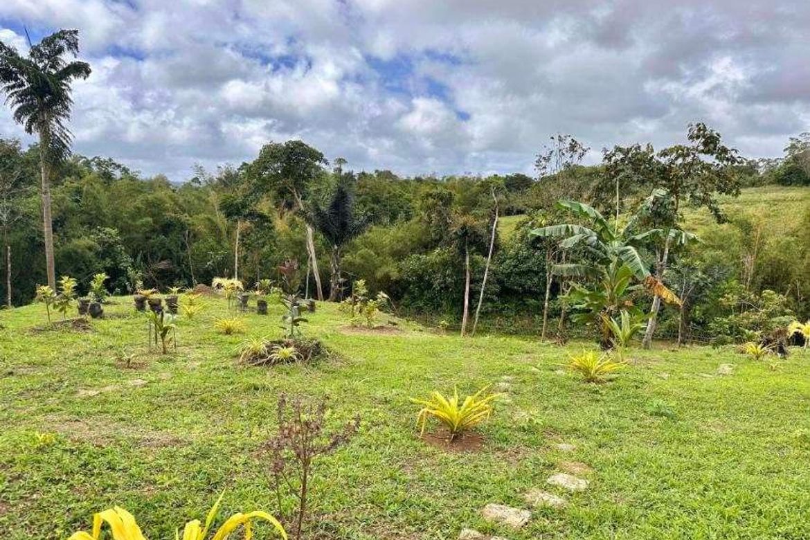 Land for Sale in Caliraya, Lumban, Laguna – photo 3