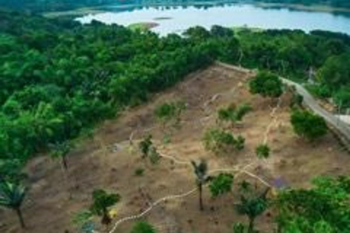 Land for Sale in Caliraya, Lumban, Laguna – photo 5