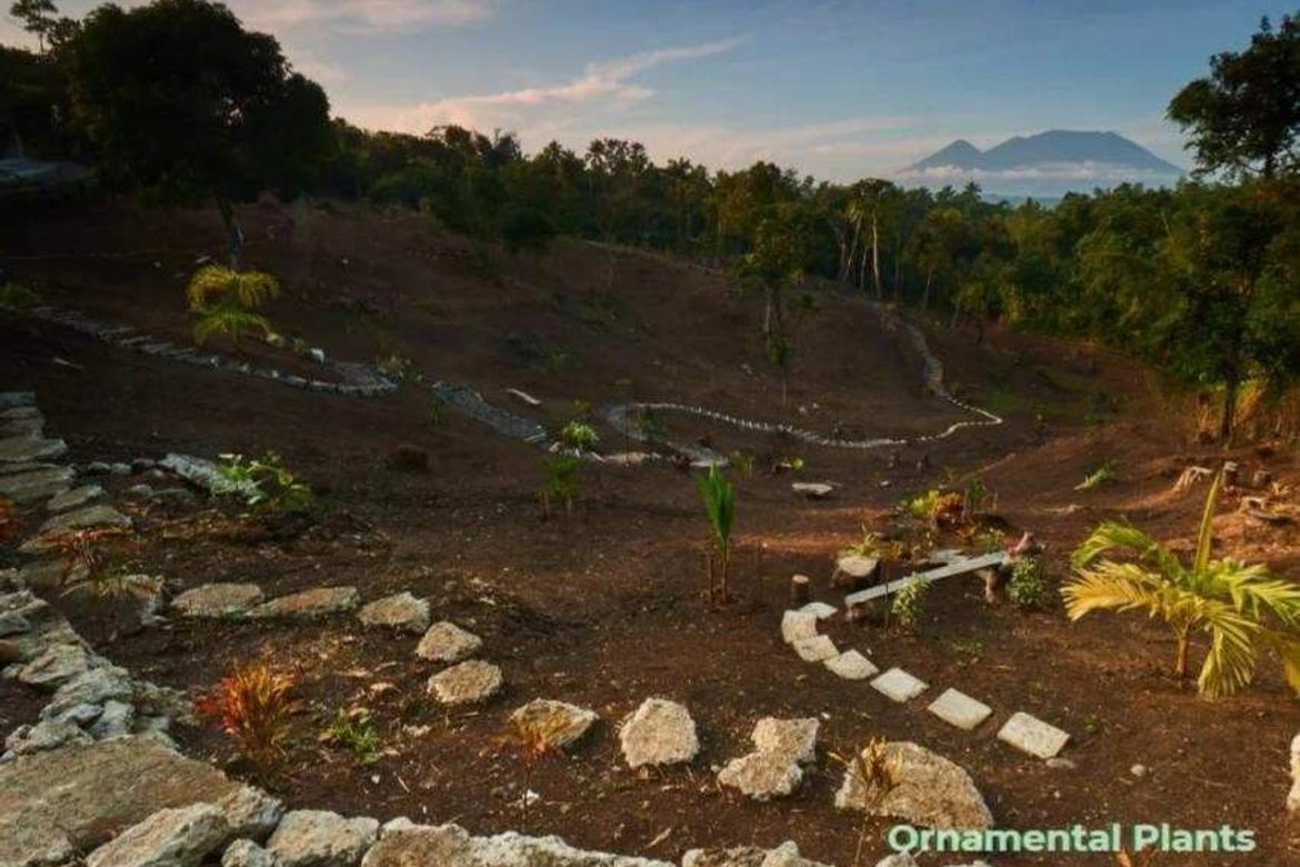 Land for Sale in Caliraya, Lumban, Laguna – photo 7