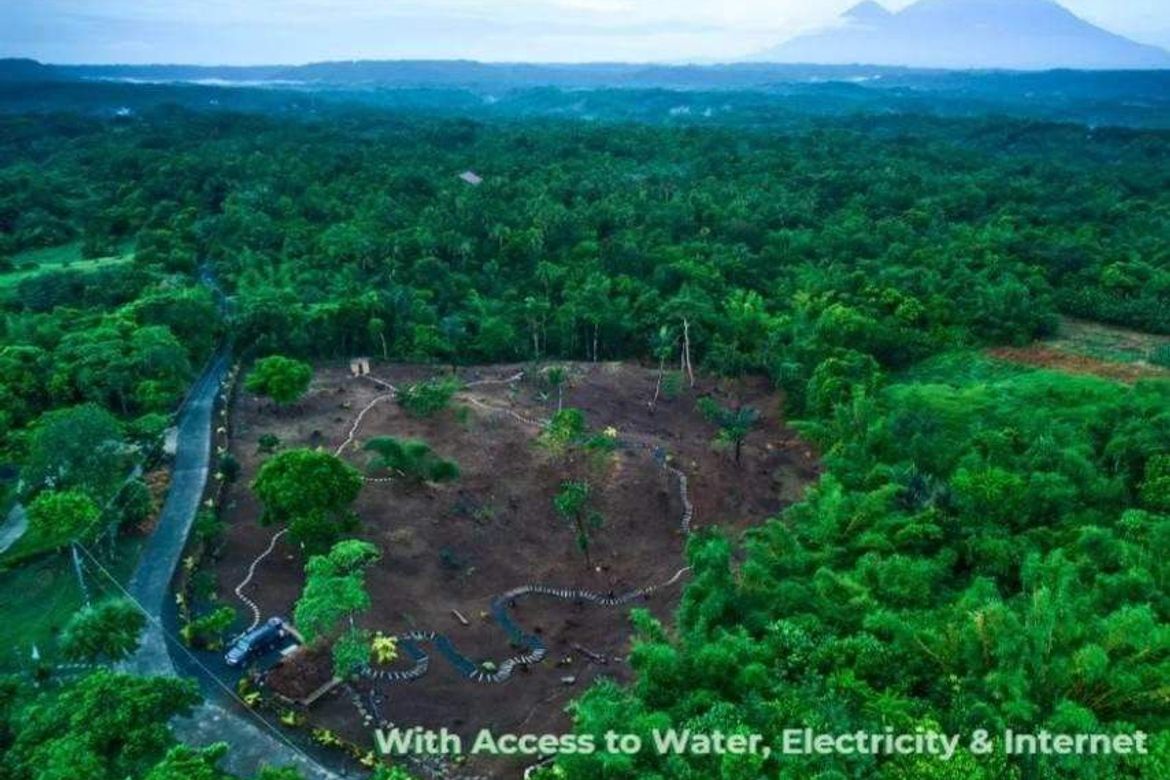Land for Sale in Caliraya, Lumban, Laguna – photo 8