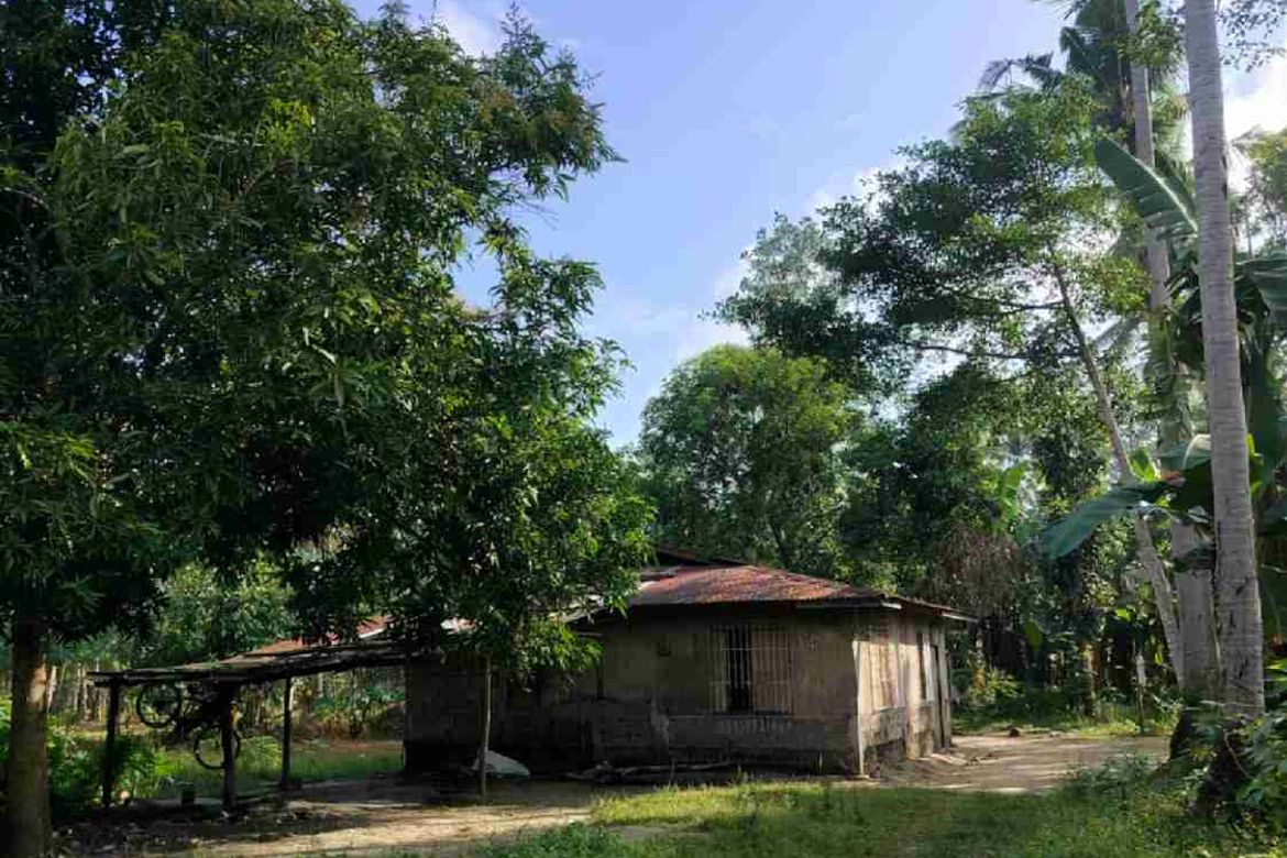 Land for Sale in Callejon, San Antonio, Quezon