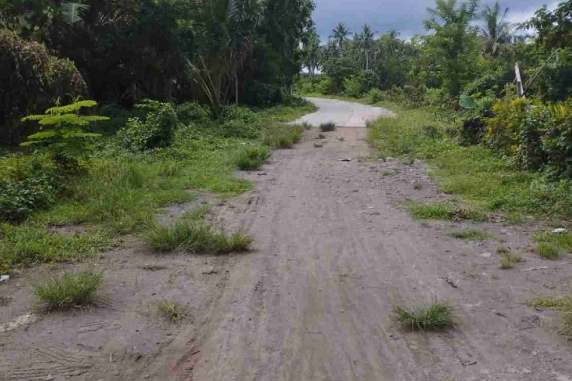 Land for Sale in Callejon, San Antonio, Quezon – photo 4