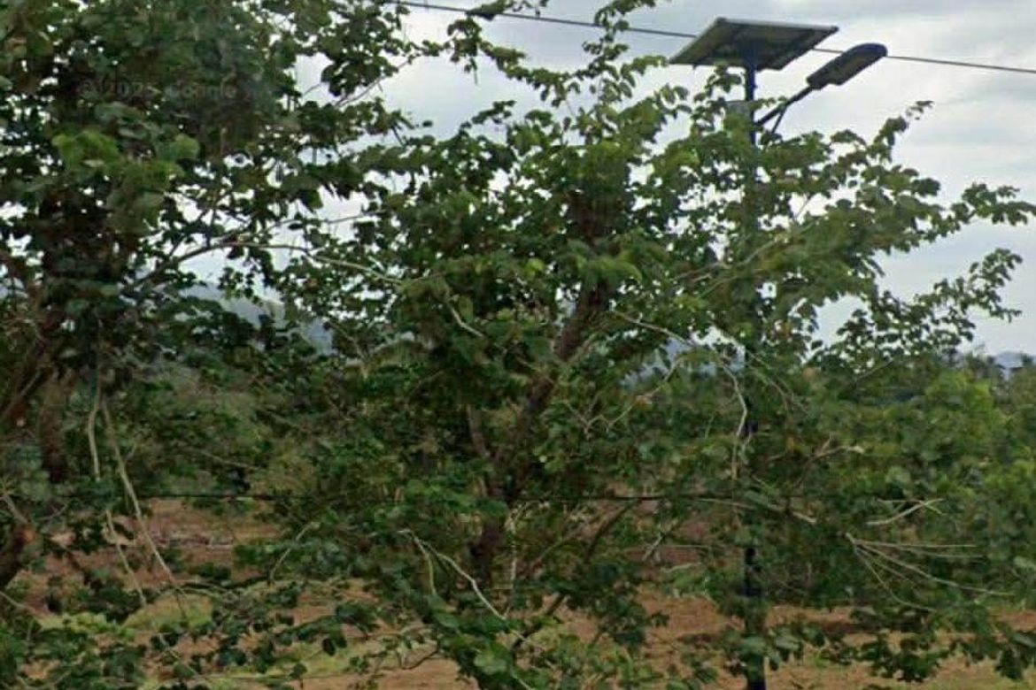 Land for Sale in Caluangan, Magallanes, Cavite – photo 5