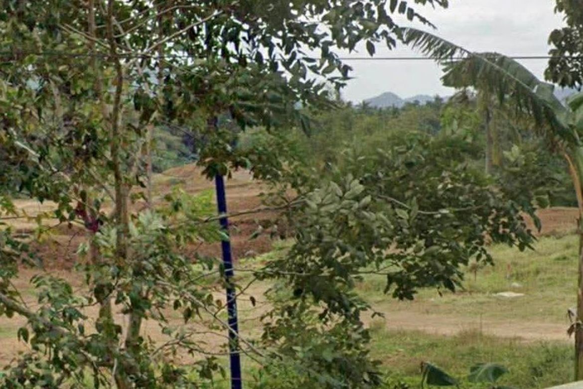 Land for Sale in Caluangan, Magallanes, Cavite – photo 6