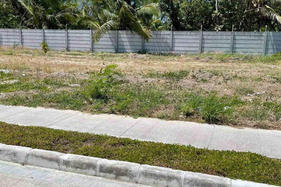 Land for Sale in Calubcub II, San Juan, Batangas – photo 3
