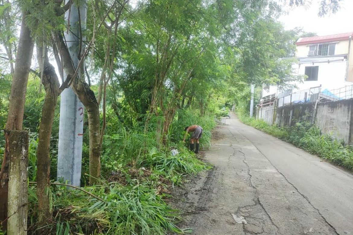 Land for Sale in Calumpang, Binangonan, Rizal – photo 4