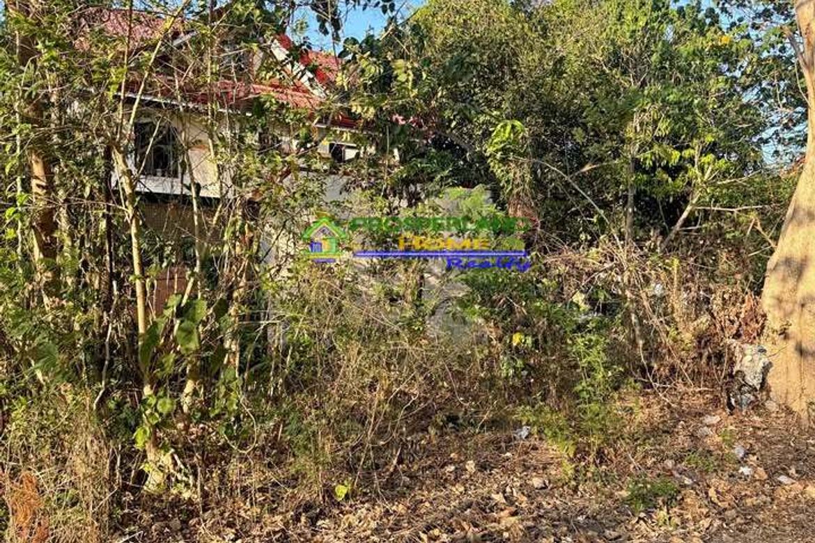 Land for Sale in Calumpang, Binangonan, Rizal