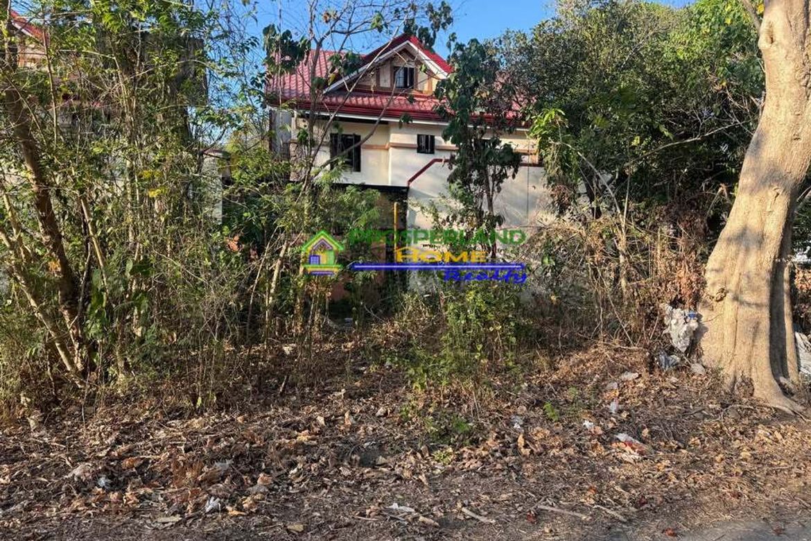 Land for Sale in Calumpang, Binangonan, Rizal – photo 3