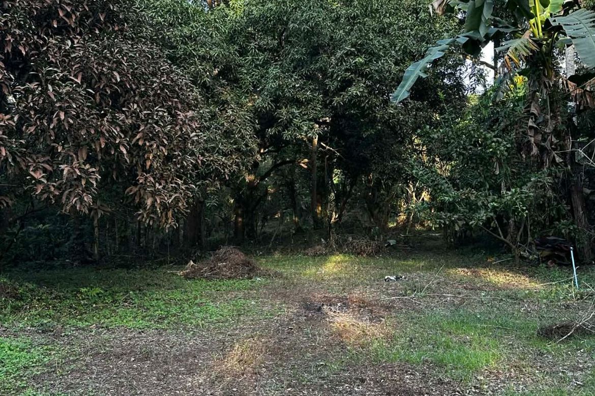Land for Sale in Calumpang Cerca, Indang, Cavite – photo 6