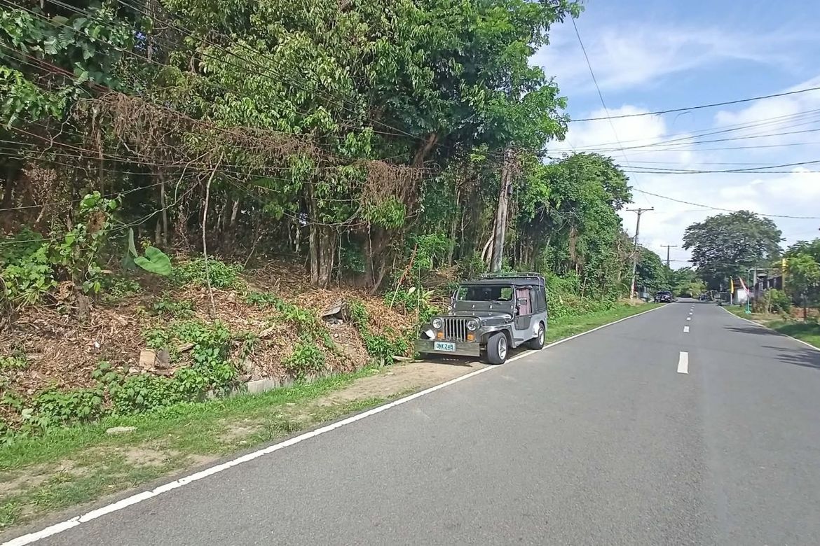 Land for Sale in Calumpang Cerca, Indang, Cavite – photo 3