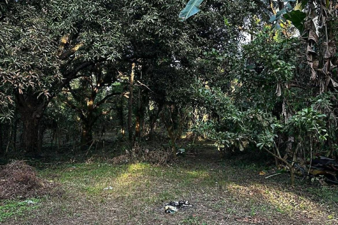 Land for Sale in Calumpang Cerca, Indang, Cavite – photo 5